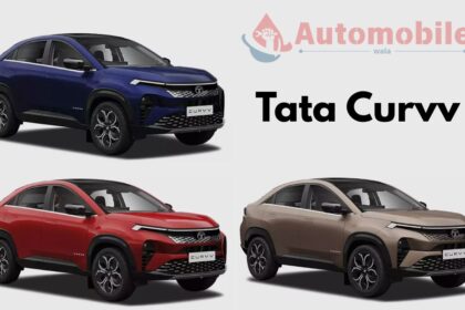 tata curvv price